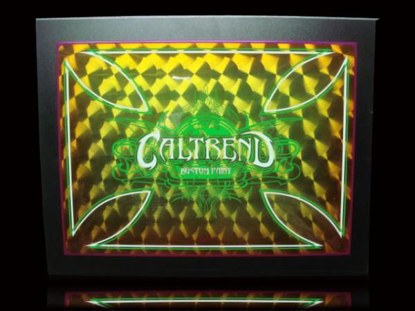 CAL PANEL