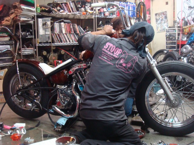 dsc02489.jpg